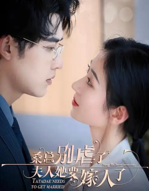 长夜灯河热播电视剧全集在线观看
