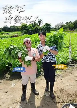 深夜食堂厨房综艺